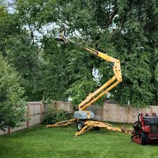 Best Hazardous Tree Removal  in Bret Harte, CA